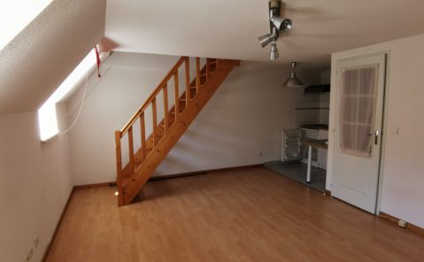 LOCATION F2 DUPLEX DOLE CENTRE-VILLE